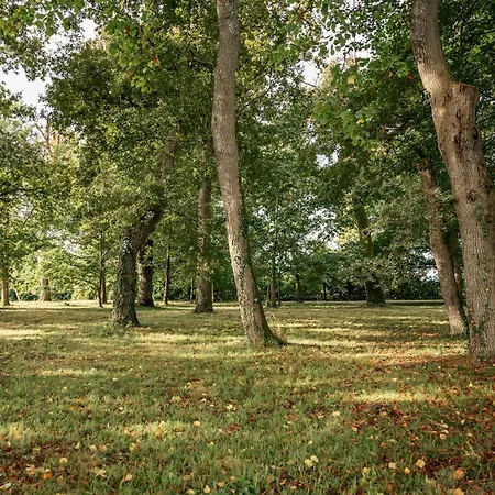 Domaine De Cremens