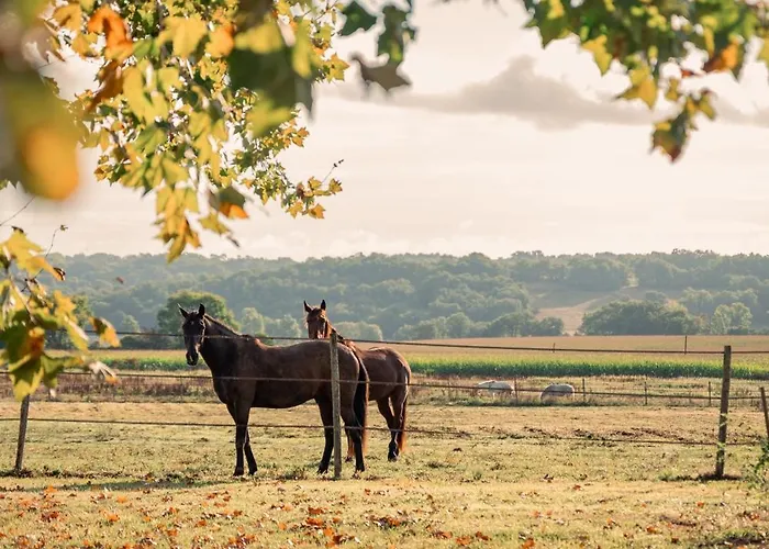 Domaine De Cremens Bed & Breakfast 3*