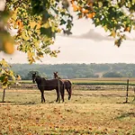 Domaine De Cremens Nocleg ze śniadaniem 3*