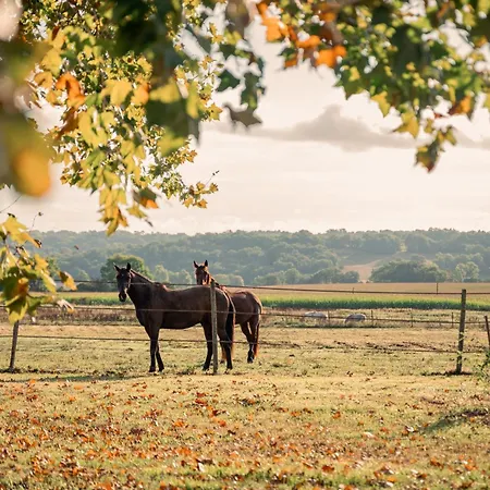 Domaine De Cremens Bed & Breakfast 3*