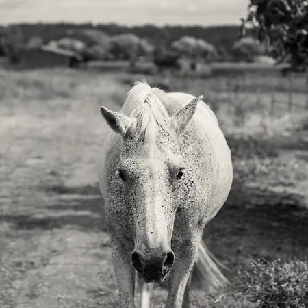 Domaine De Cremens Bed & Breakfast